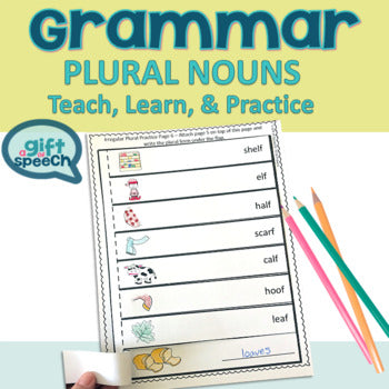 NO PREP Irregular & regular plural nouns a Teach, Learn, & Practice activity